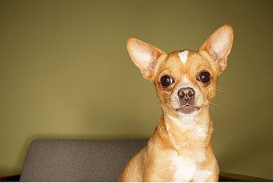 索尼掌机王者归来？传索尼新掌机将搭载AMD定制芯片 三星2nm工艺